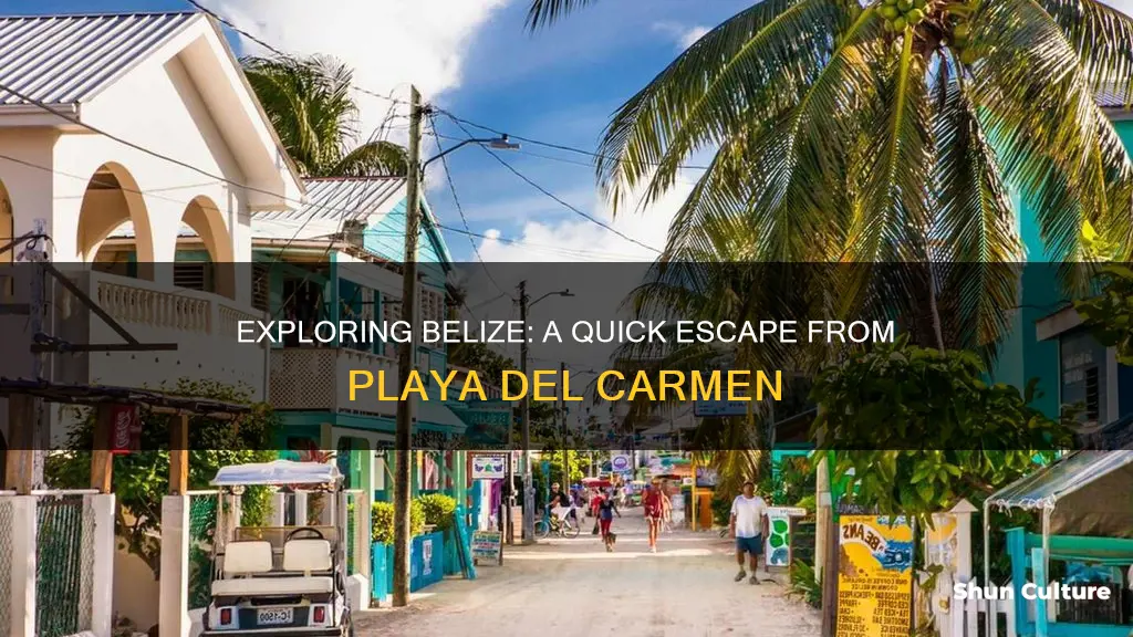 how are is belize from playa del carmen