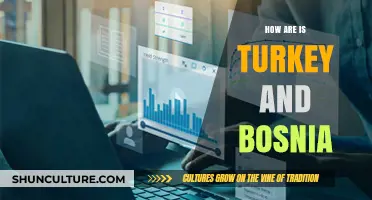 Turkey and Bosnia: Cultural, Historical, and Political Connections Explored