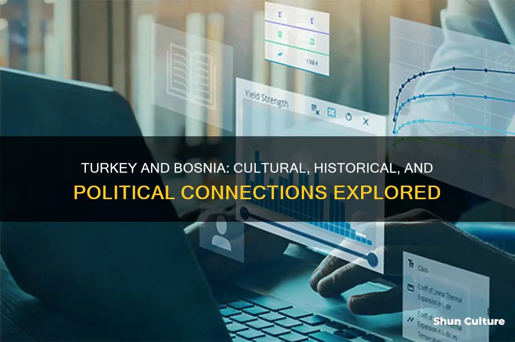 how are is turkey and bosnia