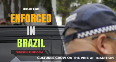 Understanding Brazil's Legal System: Enforcement Mechanisms and Practices