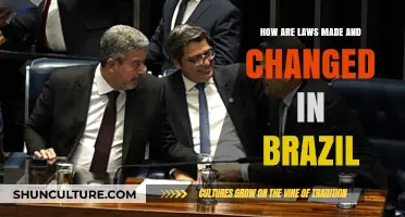 Understanding Brazil's Legislative Process: How Laws Are Made and Changed