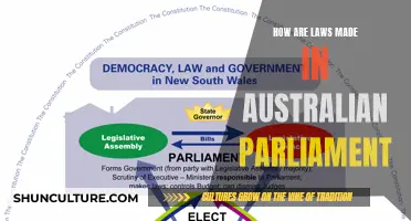 Australian Parliament: Law-Making Process Explained
