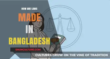 Understanding Bangladesh's Legislative Process: How Laws Are Made and Enacted