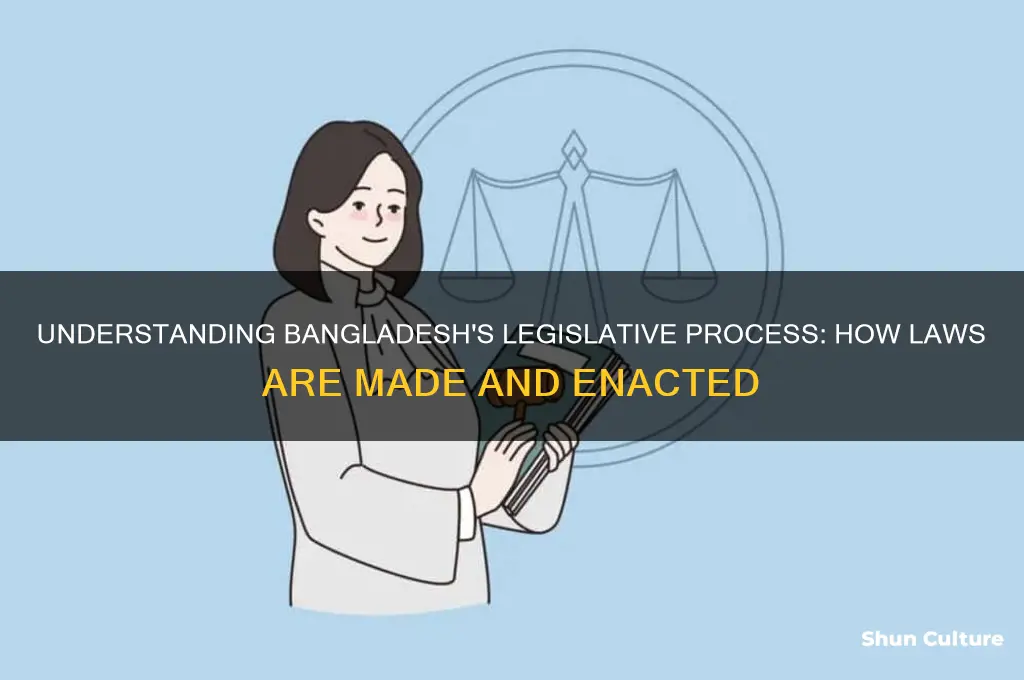 how are laws made in bangladesh