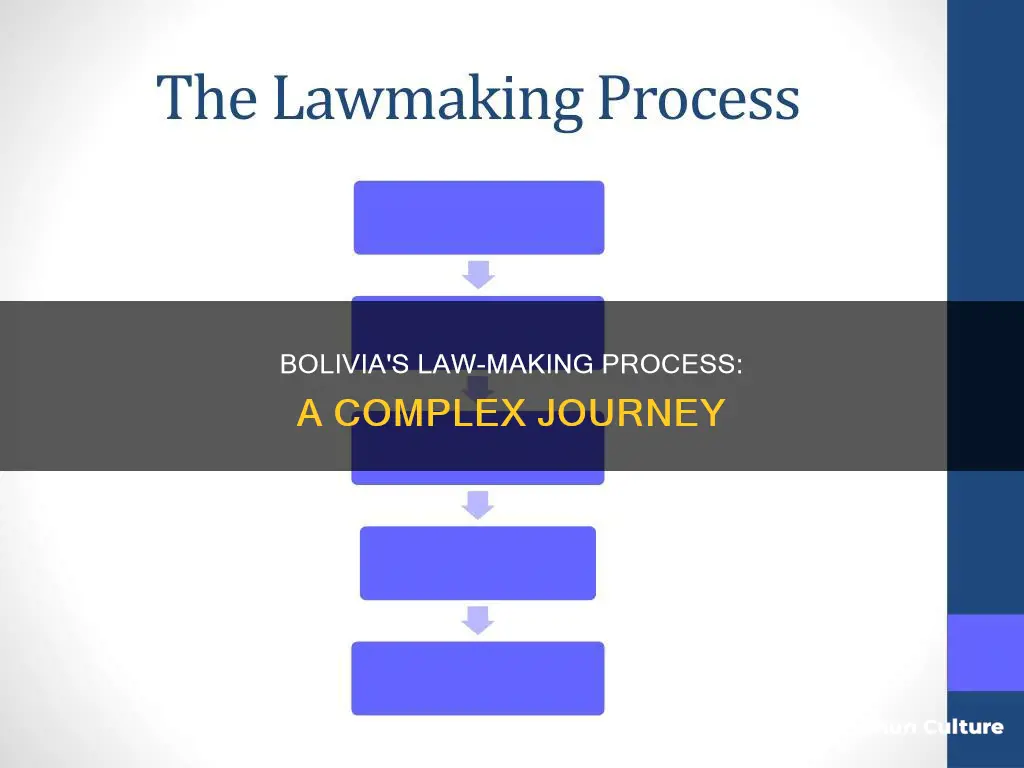 how are laws made in bolivia