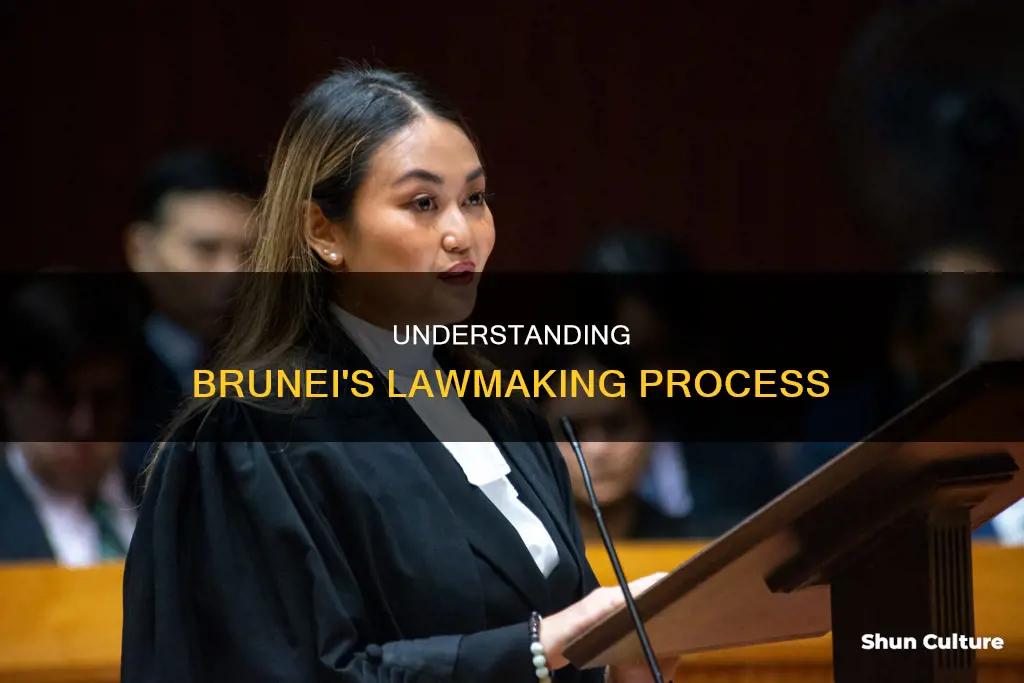 how are laws made in brunei