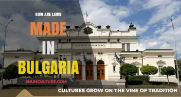 Understanding the Legislative Process in Bulgaria: A Comprehensive Guide