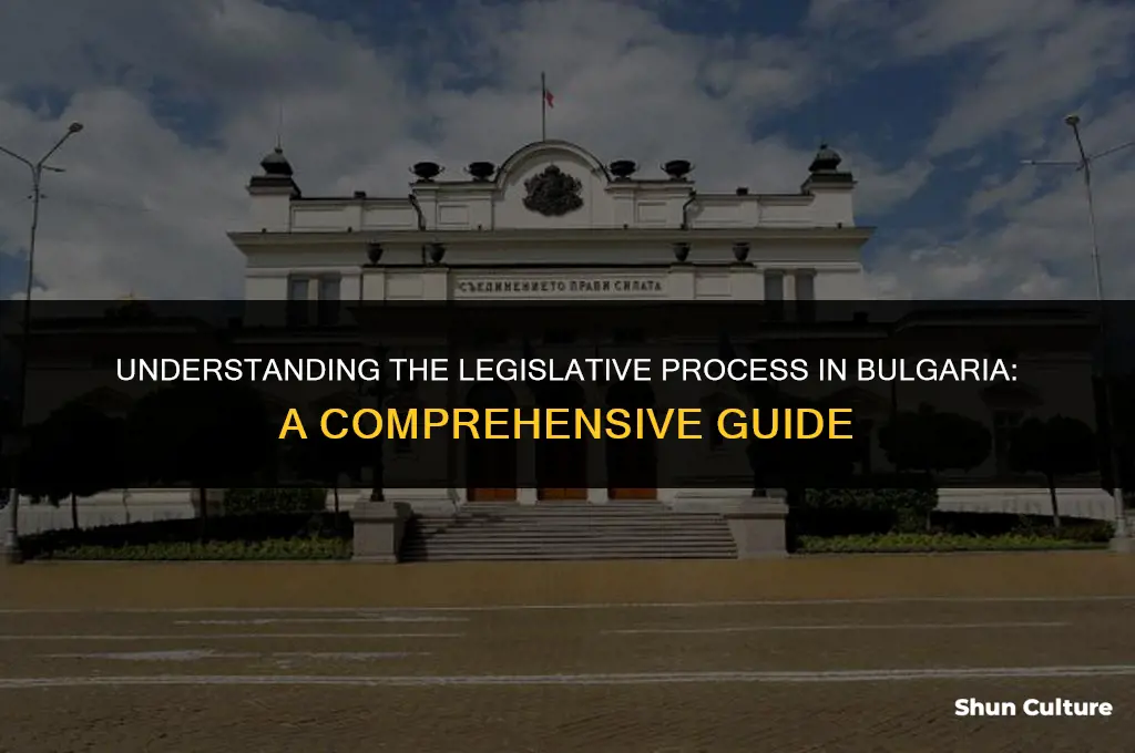 how are laws made in bulgaria