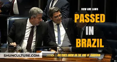 Understanding Brazil's Legislative Process: How Laws Are Enacted and Passed