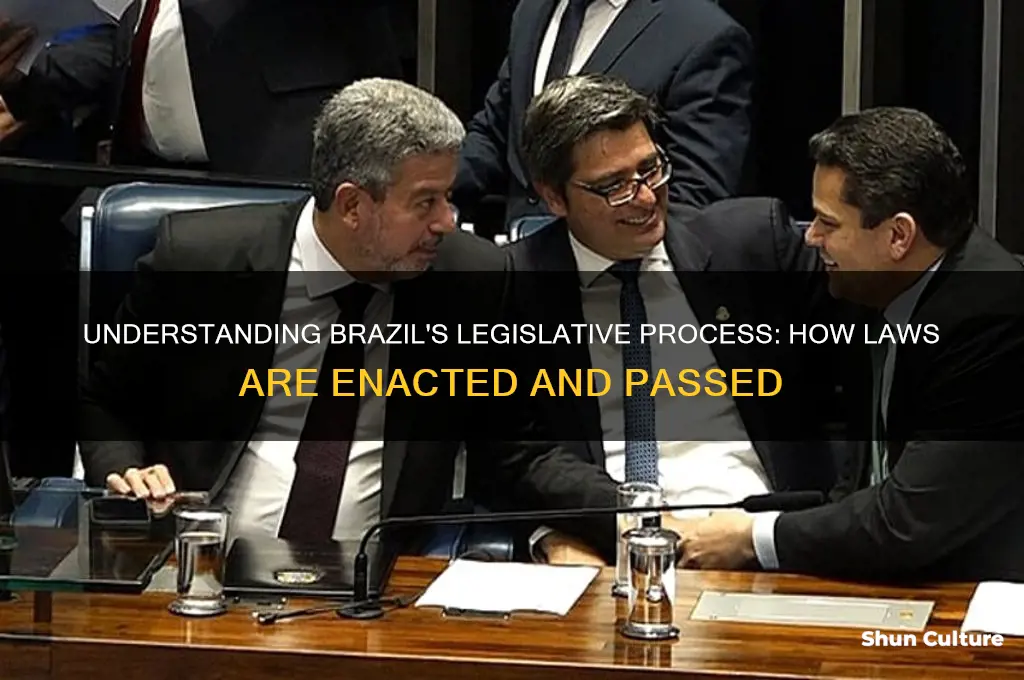 how are laws passed in brazil