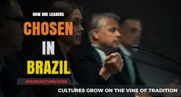 Brazil's Leadership Selection: Understanding the Electoral Process and Criteria