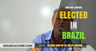 Brazil's Leadership Selection: Understanding the Electoral Process and Democracy
