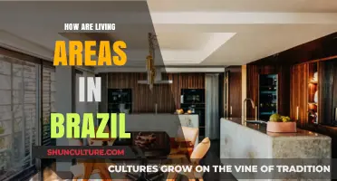 Exploring Brazil's Diverse Living Spaces: Culture, Climate, and Community