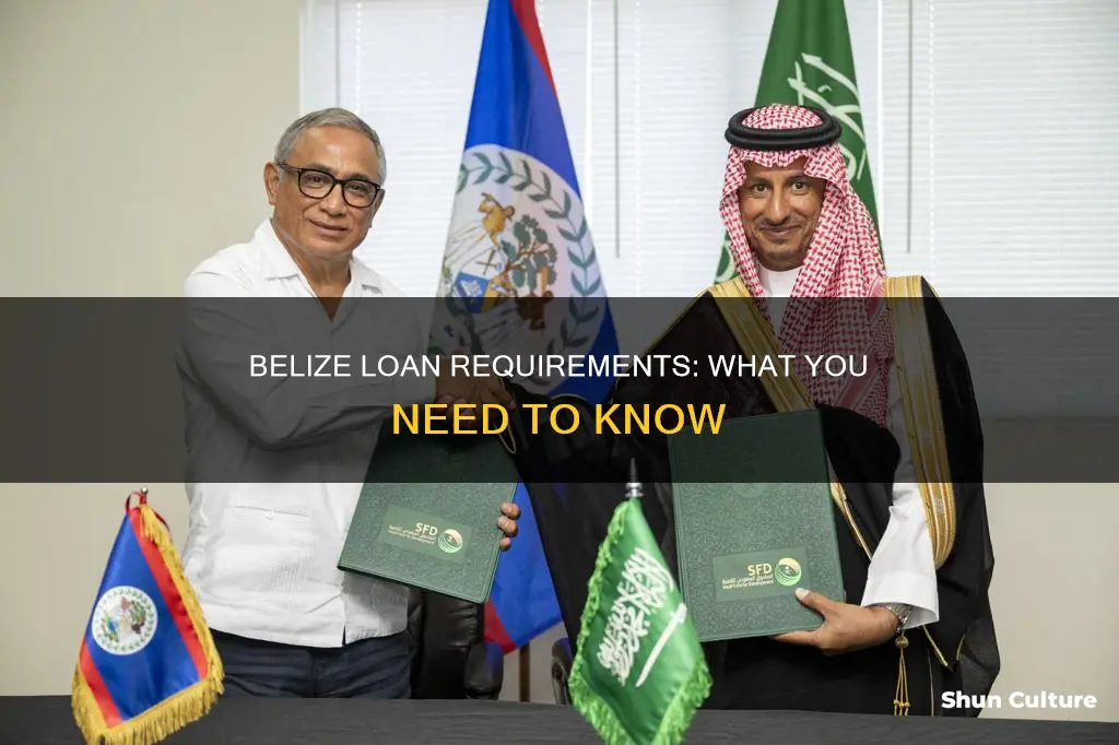 how are loans determined in belize