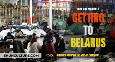 Migrants' Journey to Belarus: Routes and Methods Revealed