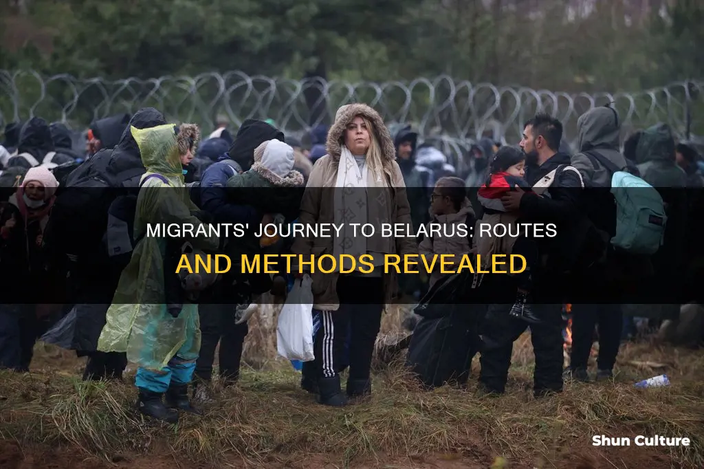 how are migrants getting to belarus