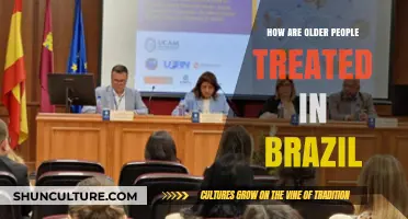 Respect or Neglect? Understanding Elderly Treatment in Brazilian Society