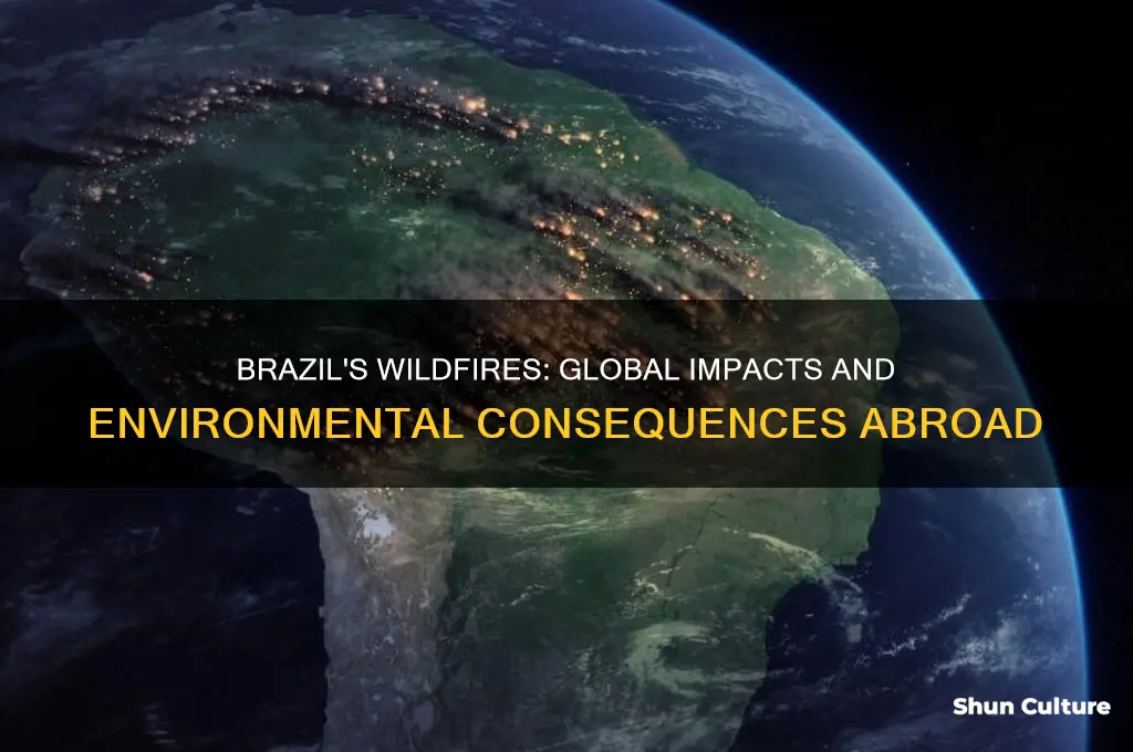 how are other countries being affected by brazil wildfires