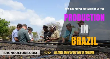 Brazil's Coffee Industry: Impact on Workers, Communities, and Livelihoods