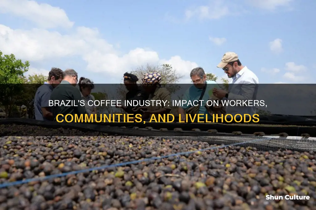 how are people affected by coffee production in brazil