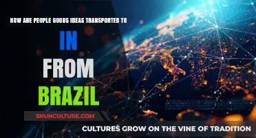 Brazil's Creative Export: How People and Ideas Travel Globally