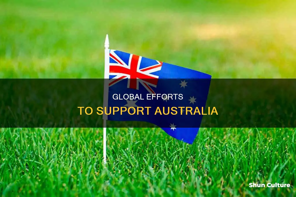 how are people helping australia