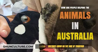 Helping Australia's Wildlife: Global Efforts and Initiatives