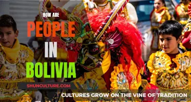 Bolivians: Their Lives and Culture Explored