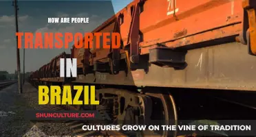 Exploring Brazil's Diverse Transportation Methods: Buses, Planes, and Beyond