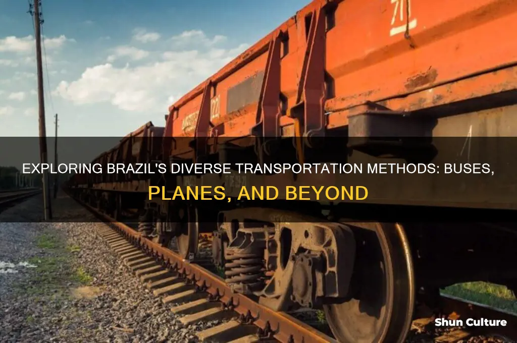 how are people transported in brazil