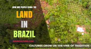 Exploring Brazil's Land Use: Agriculture, Urbanization, and Conservation Trends