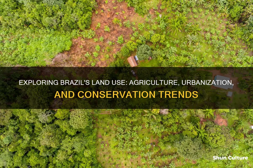 how are people using the land in brazil