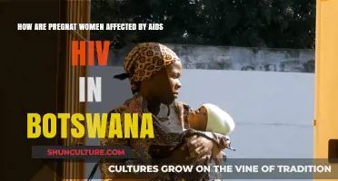 HIV/AIDS Impact on Pregnant Women in Botswana: Challenges and Support