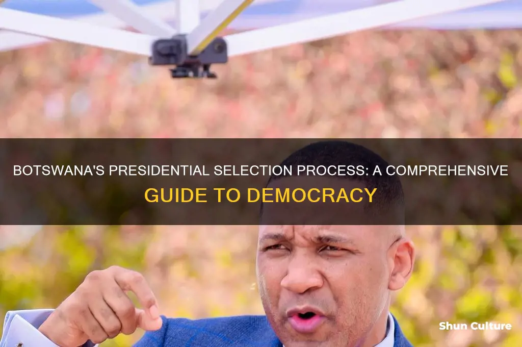 how are presidents chosen in botswana