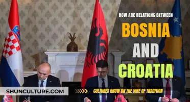 Bosnia and Croatia Relations: Challenges, Cooperation, and Future Prospects