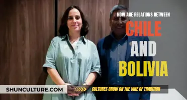 Chile-Bolivia Relations: A Complex History and Future