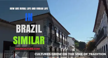 Brazil's Rural-Urban Connections: Shared Traditions, Challenges, and Cultural Bonds