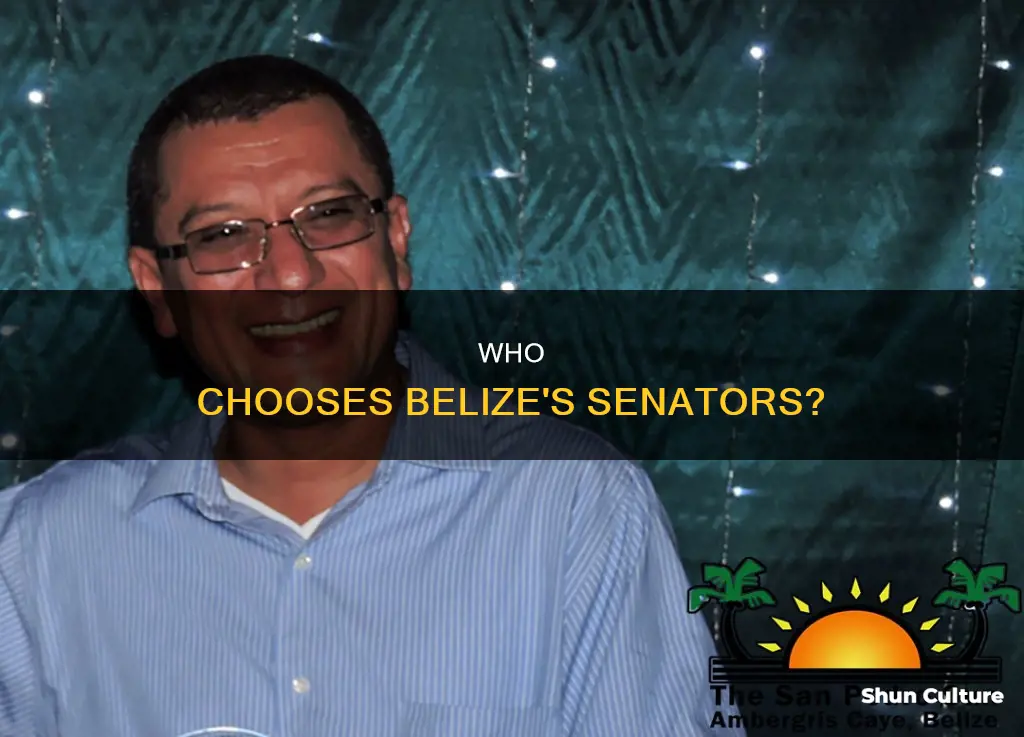 how are senators appointed in belize