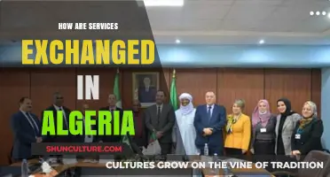 Exploring Algeria's Service Exchange: Barter, Cash, and Digital Trends
