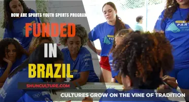 Funding Youth Sports in Brazil: Sources and Strategies for Programs