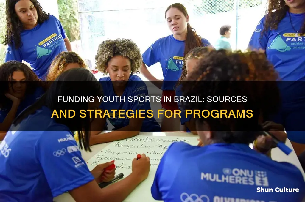 how are sports youth sports programs funded in brazil