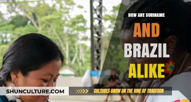 Suriname and Brazil: Shared Cultures, Histories, and Amazon Connections