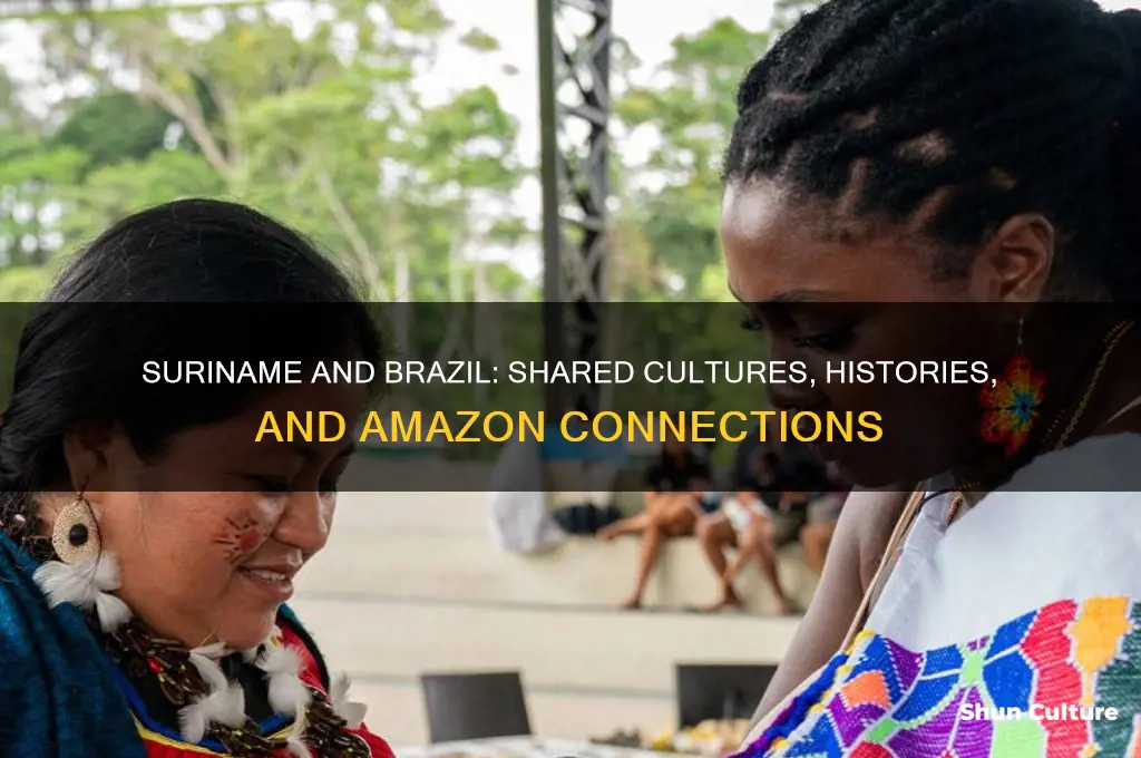 how are suriname and brazil alike
