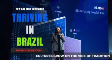 Brazil's Tech Boom: How Companies Are Thriving in a Growing Market