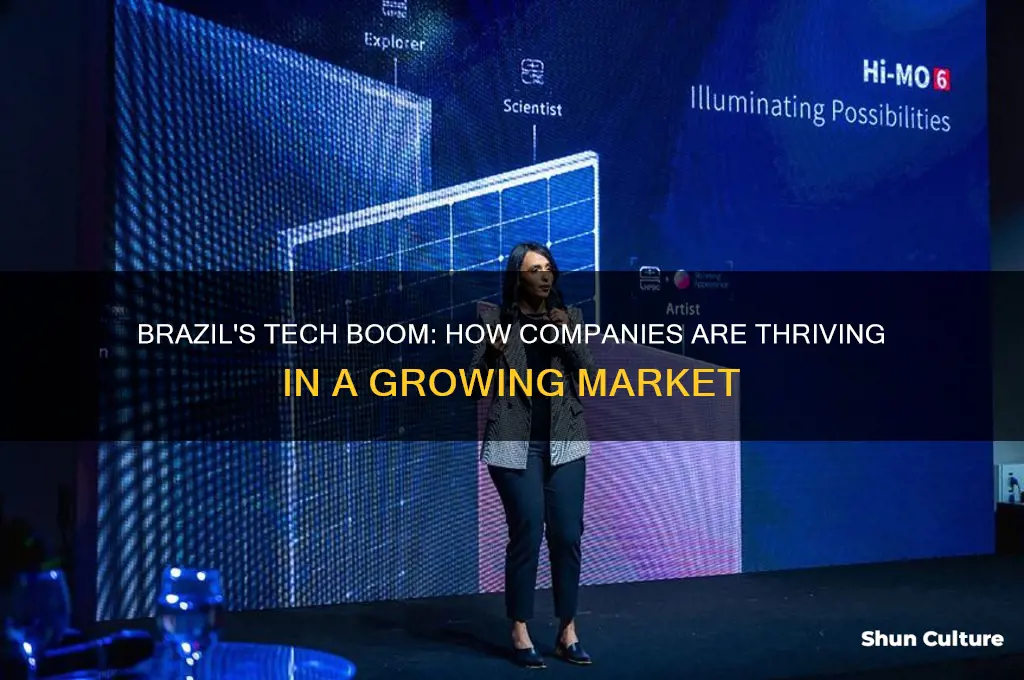 how are tech companies thriving in brazil