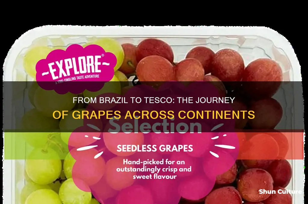 how are tesco grapes transported from brazil