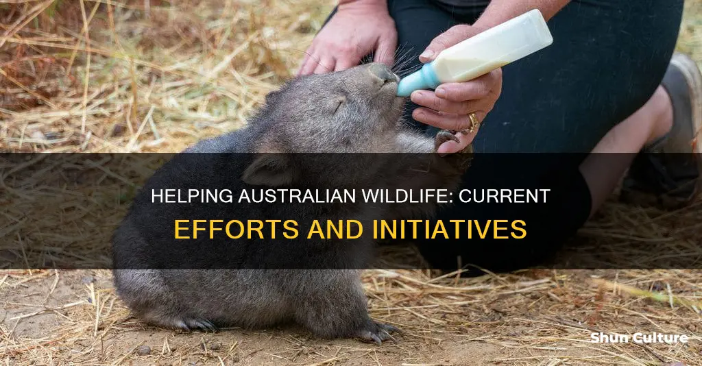 how are the animals being helped in australia