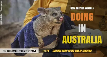 Australian Wildlife: A Status Update