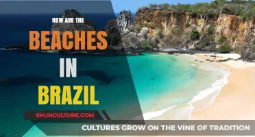 Discover Brazil's Stunning Beaches: Sun, Sand, and Vibrant Coastal Charm