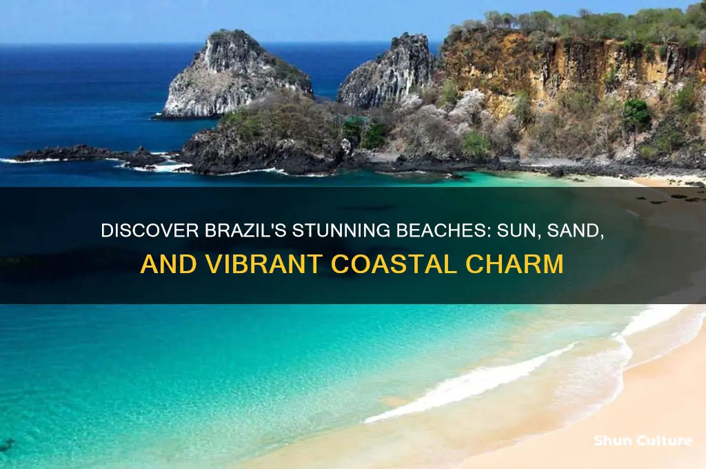 how are the beaches in brazil